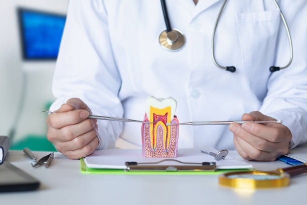 Best Pediatric Emergency Dentist in Farmington, UT
